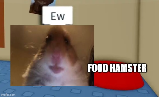 Food hamster | FOOD HAMSTER | image tagged in floppa cube say ew to this red bowl | made w/ Imgflip meme maker