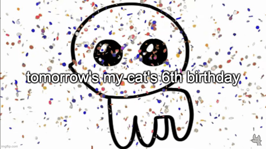 the boy is 40 in cat years | tomorrow's my cat's 6th birthday | image tagged in yippie confetti | made w/ Imgflip meme maker