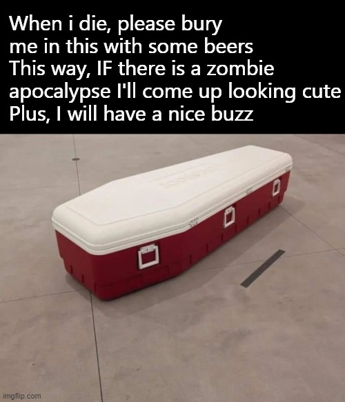 Who's cool now? That's right. ME! | When i die, please bury me in this with some beers
This way, IF there is a zombie apocalypse I'll come up looking cute
Plus, I will have a nice buzz | image tagged in funny memes,dark humor,zombies,igloo | made w/ Imgflip meme maker