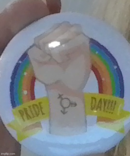 One of the pins I wear ^^ | image tagged in pride,gay | made w/ Imgflip meme maker