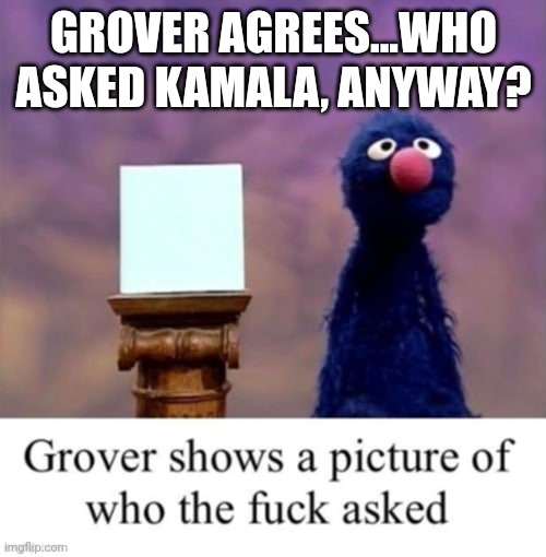 GROVER AGREES...WHO ASKED KAMALA, ANYWAY? | made w/ Imgflip meme maker