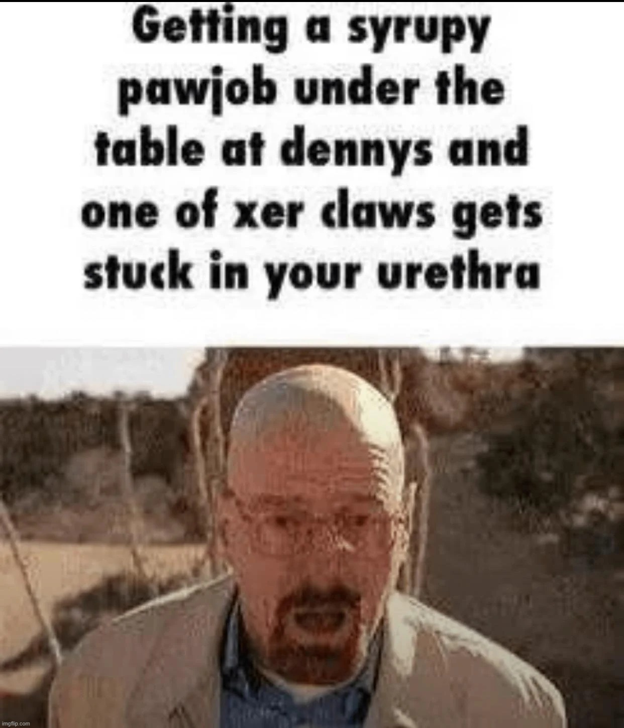 made w/ Imgflip meme maker