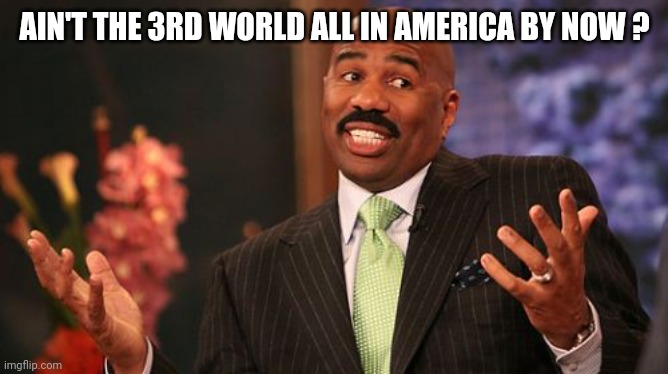 Steve Harvey Meme | AIN'T THE 3RD WORLD ALL IN AMERICA BY NOW ? | image tagged in memes,steve harvey | made w/ Imgflip meme maker