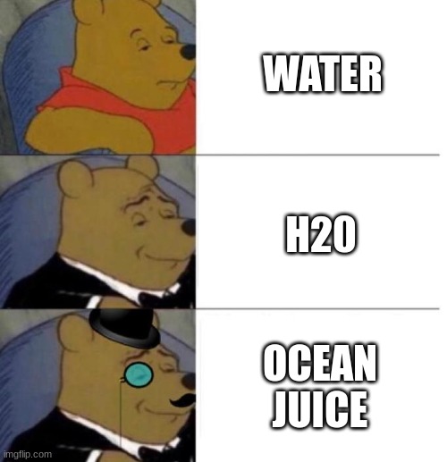 ocean juice | WATER; H20; OCEAN JUICE | image tagged in tuxedo winnie the pooh,memes,meme,funny,funnies,funny memes | made w/ Imgflip meme maker