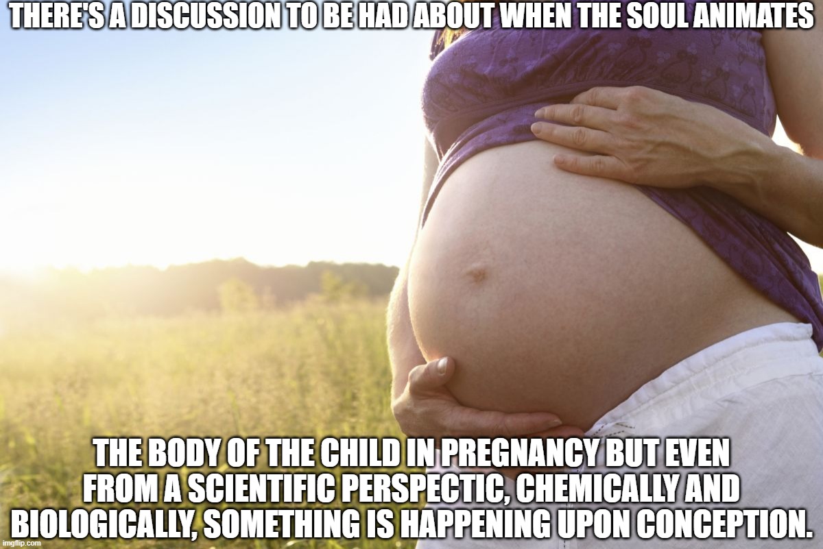 This May Not Be The End of the Discussion | THERE'S A DISCUSSION TO BE HAD ABOUT WHEN THE SOUL ANIMATES; THE BODY OF THE CHILD IN PREGNANCY BUT EVEN FROM A SCIENTIFIC PERSPECTIC, CHEMICALLY AND BIOLOGICALLY, SOMETHING IS HAPPENING UPON CONCEPTION. | image tagged in pregnant woman,abortion,science,religion | made w/ Imgflip meme maker