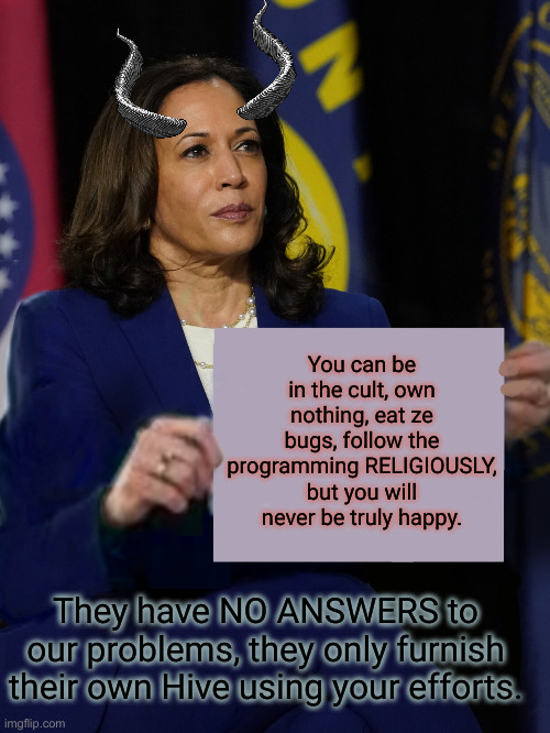 One Empty World, Coming Up ! | They have NO ANSWERS to our problems, they only furnish their own Hive using your efforts. You can be in the cult, own nothing, eat ze bugs, | image tagged in kamala harris holding sign,political meme,politics,funny memes,funny | made w/ Imgflip meme maker