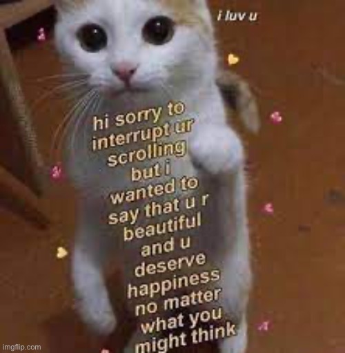 <33 | made w/ Imgflip meme maker