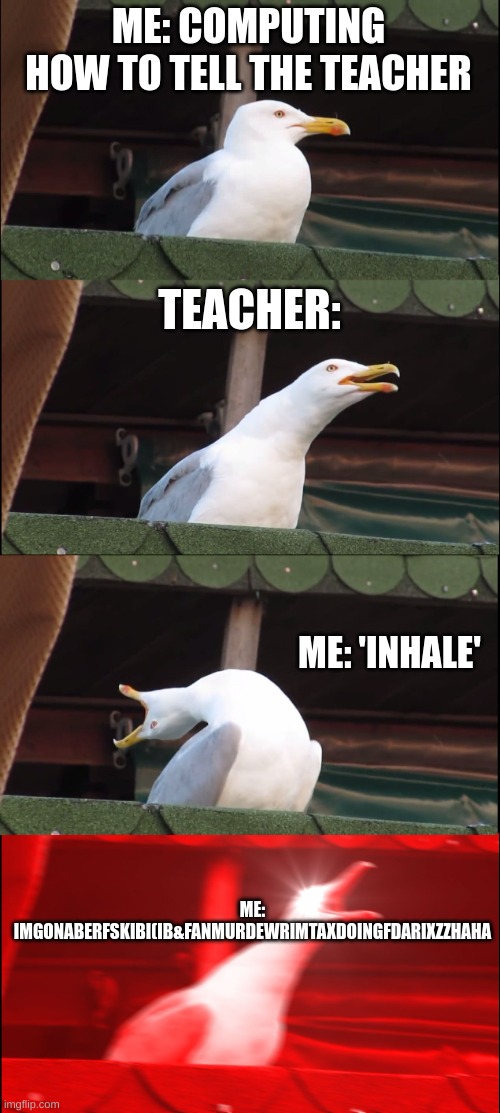 Inhaling Seagull | ME: COMPUTING HOW TO TELL THE TEACHER; TEACHER:; ME: 'INHALE'; ME: IMGONABERFSKIBI(IB&FANMURDEWRIMTAXDOINGFDARIXZZHAHA | image tagged in memes,inhaling seagull,school | made w/ Imgflip meme maker