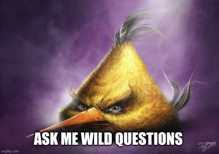 I'm bored please | ASK ME WILD QUESTIONS | image tagged in realistic yellow angry bird | made w/ Imgflip meme maker