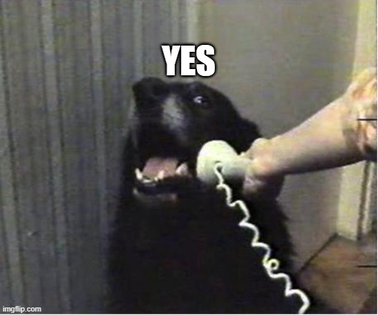 Yes this is dog | YES | image tagged in yes this is dog | made w/ Imgflip meme maker