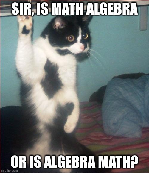 today's brain teaser | SIR, IS MATH ALGEBRA; OR IS ALGEBRA MATH? | image tagged in question cat,fun,hot,trending,viral | made w/ Imgflip meme maker