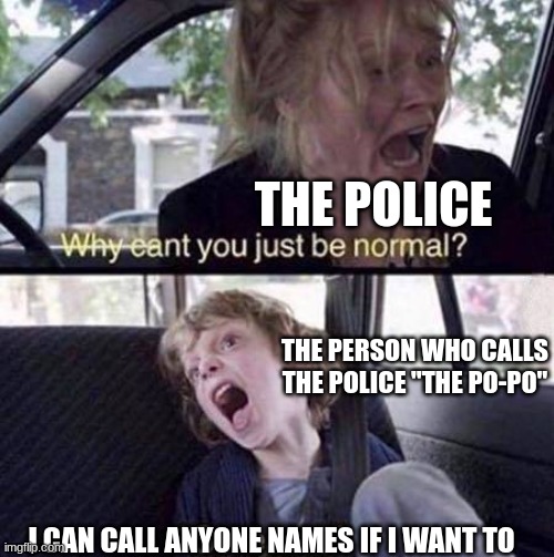 Why Can't You Just Be Normal | THE POLICE; THE PERSON WHO CALLS THE POLICE "THE PO-PO"; I CAN CALL ANYONE NAMES IF I WANT TO | image tagged in why can't you just be normal | made w/ Imgflip meme maker