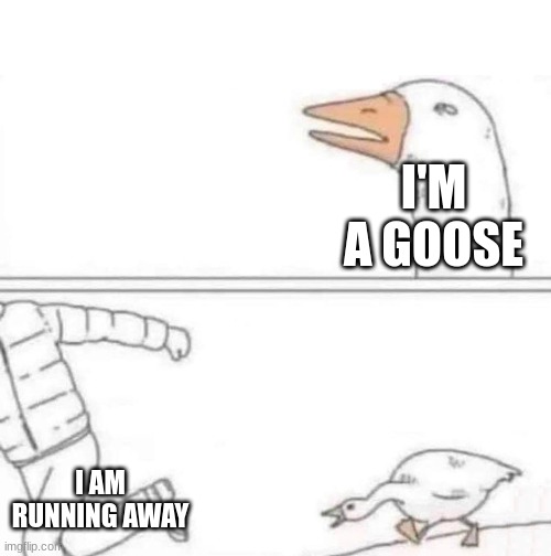 Goose Chase | I'M A GOOSE; I AM RUNNING AWAY | image tagged in goose chase | made w/ Imgflip meme maker