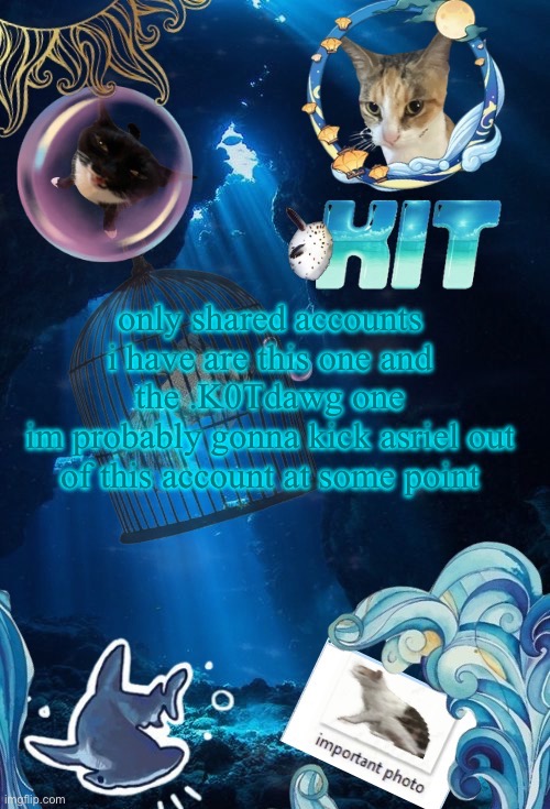 silly announcement template by asriel | only shared accounts i have are this one and the .K0Tdawg one
im probably gonna kick asriel out of this account at some point | image tagged in silly announcement template by asriel | made w/ Imgflip meme maker