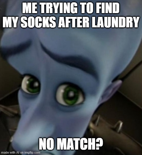 Megamind no bitches | ME TRYING TO FIND MY SOCKS AFTER LAUNDRY; NO MATCH? | image tagged in megamind no bitches | made w/ Imgflip meme maker