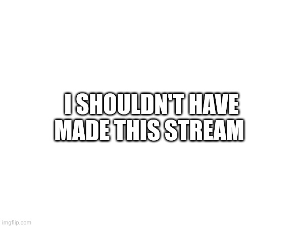 This stream was a huge mistake. | I SHOULDN'T HAVE MADE THIS STREAM | made w/ Imgflip meme maker