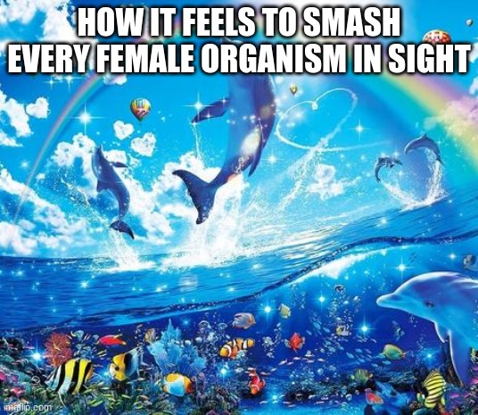 I'm having a stroke | HOW IT FEELS TO SMASH EVERY FEMALE ORGANISM IN SIGHT | image tagged in symphony meme | made w/ Imgflip meme maker