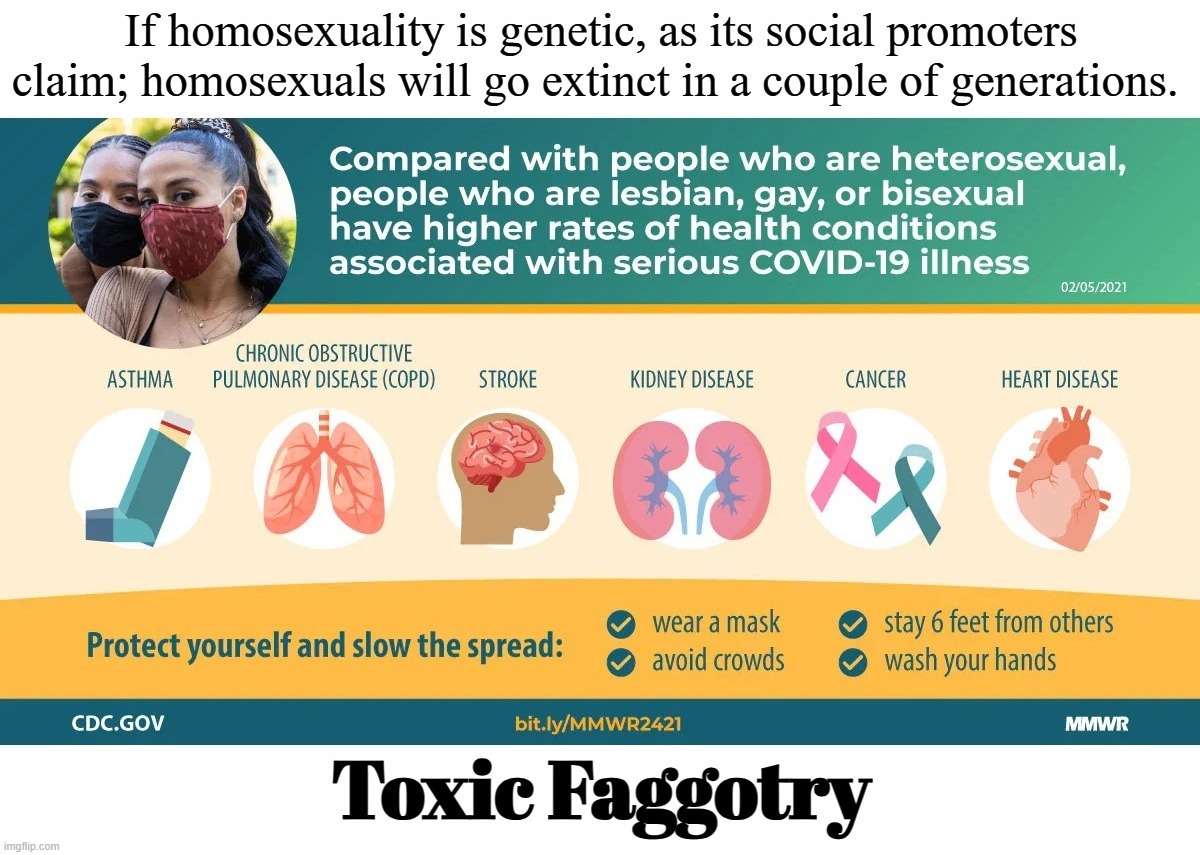 I am NOT Homophobic. I fear no queer. | image tagged in natural selection,stupid people be like,toxic faggotry,aids,immune deficiency,book of idiots | made w/ Imgflip meme maker
