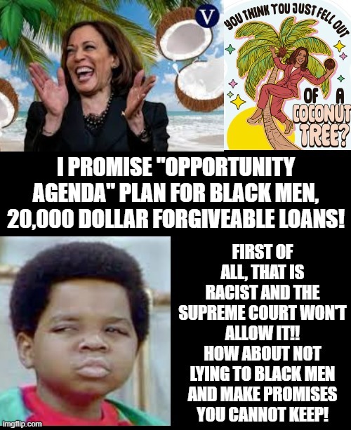 Kamala promises 20,000-dollar forgivable loans to black entrepreneurs. | image tagged in that's racist,voter fraud,liar liar pants on fire | made w/ Imgflip meme maker