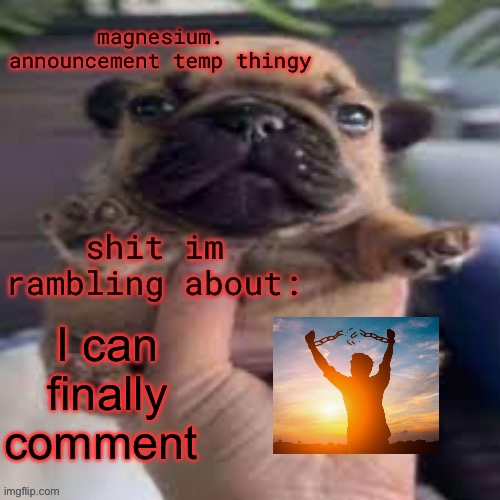 pug temp | I can finally comment | image tagged in pug temp | made w/ Imgflip meme maker