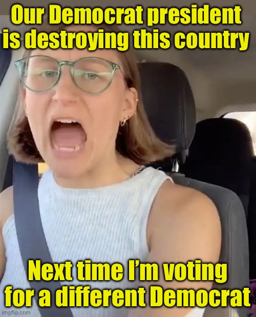 Liberal Logic | Our Democrat president is destroying this country; Next time I’m voting for a different Democrat | image tagged in unhinged liberal lunatic idiot woman meltdown screaming in car | made w/ Imgflip meme maker