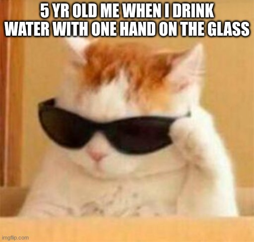 so true tho | 5 YR OLD ME WHEN I DRINK WATER WITH ONE HAND ON THE GLASS | image tagged in cool cat,5 yr old me | made w/ Imgflip meme maker