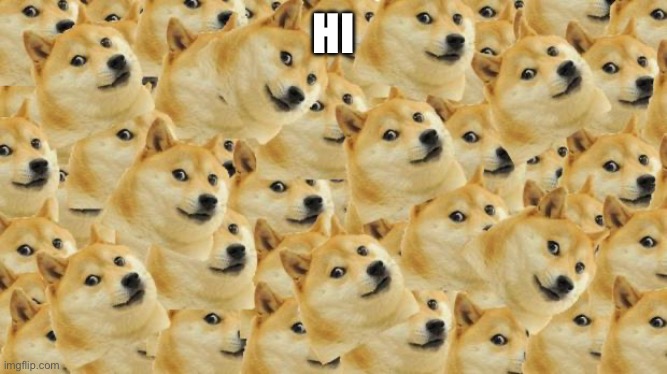 Multi Doge | HI | image tagged in memes,multi doge | made w/ Imgflip meme maker