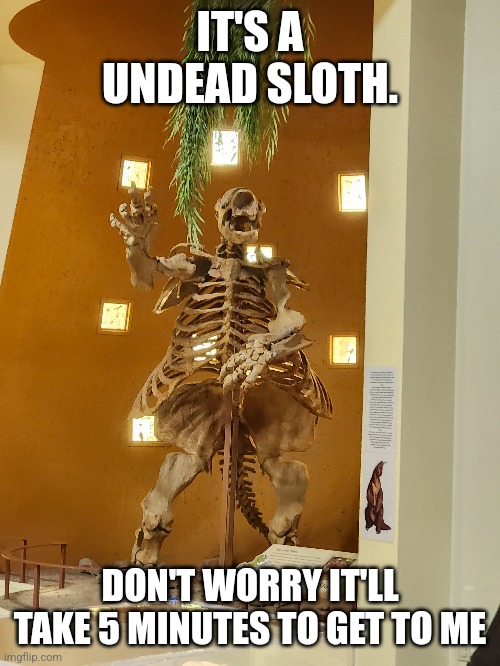 IT'S A UNDEAD SLOTH. DON'T WORRY IT'LL TAKE 5 MINUTES TO GET TO ME | made w/ Imgflip meme maker