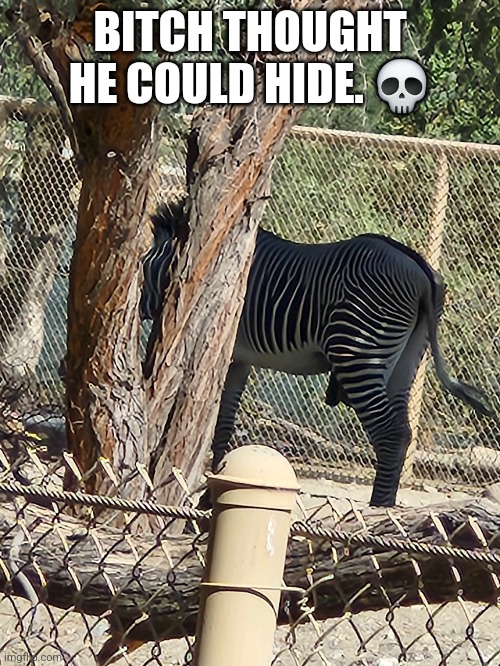 BITCH THOUGHT HE COULD HIDE. 💀 | made w/ Imgflip meme maker