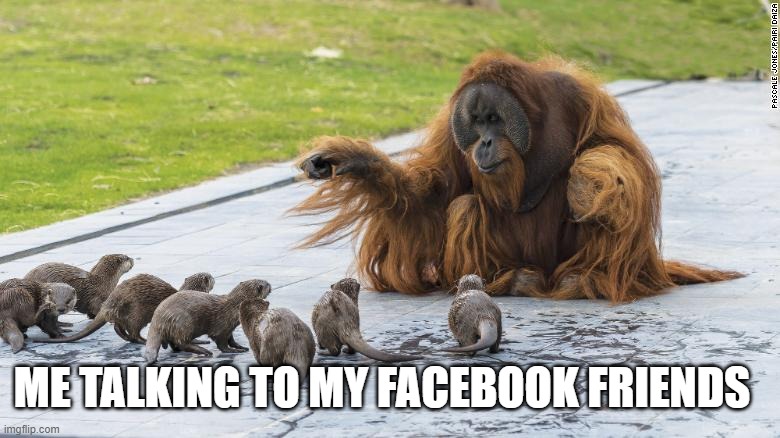 ME TALKING TO MY FACEBOOK FRIENDS | image tagged in chimp | made w/ Imgflip meme maker