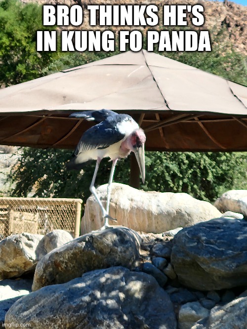 BRO THINKS HE'S IN KUNG FO PANDA | made w/ Imgflip meme maker