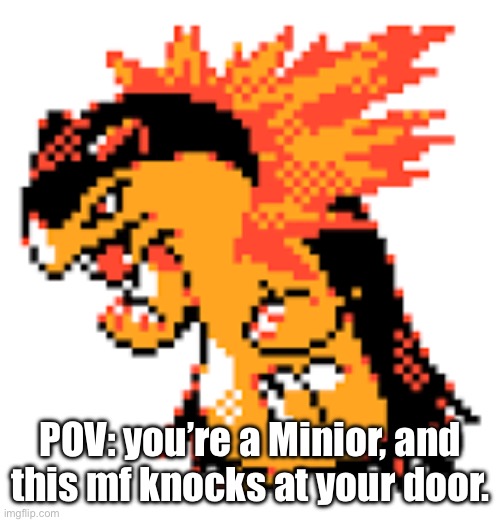 Typhlosion | POV: you’re a Minior, and this mf knocks at your door. | image tagged in typhlosion | made w/ Imgflip meme maker