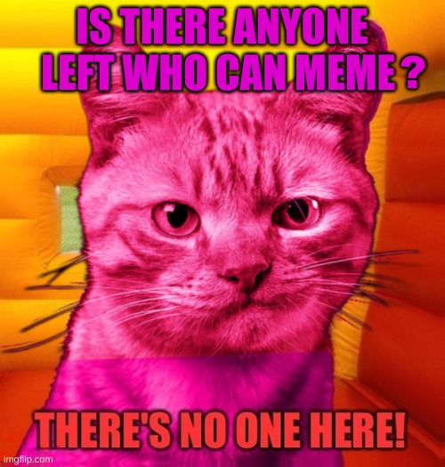 IS THERE ANYONE LEFT WHO CAN MEME; ? | image tagged in cat,cat meme,no one cares,you can't if you don't,i'll just wait here,the left | made w/ Imgflip meme maker