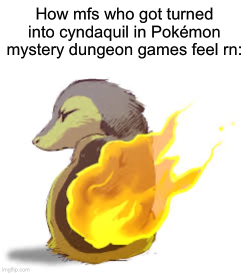 L | How mfs who got turned into cyndaquil in Pokémon mystery dungeon games feel rn: | image tagged in realistic cyndaquill | made w/ Imgflip meme maker