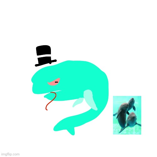 funfact: Misterfeeshe's species is a Yangtze Finless Porpoise (Neophocaena Asiaorientalis) | made w/ Imgflip meme maker