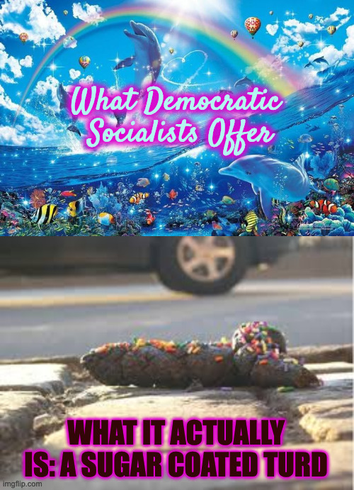 What it is and What it's not | What Democratic 
Socialists Offer; WHAT IT ACTUALLY IS: A SUGAR COATED TURD | image tagged in happy dolphin rainbow,democratic socialism | made w/ Imgflip meme maker