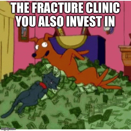 Simpsons Pets Rolling in Money | THE FRACTURE CLINIC YOU ALSO INVEST IN | image tagged in simpsons pets rolling in money | made w/ Imgflip meme maker