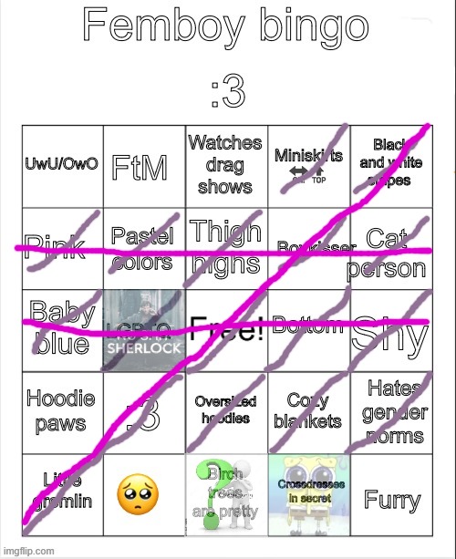 yes yes im a disappointment but the real question is WHAT DO BIRCH TREES HAVE TO DO WITH ANYTHING | image tagged in femboy bingo | made w/ Imgflip meme maker