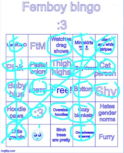 This is all true to me | image tagged in femboy bingo | made w/ Imgflip meme maker