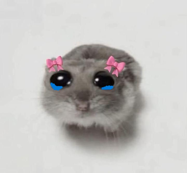 crying cute mouse Blank Meme Template