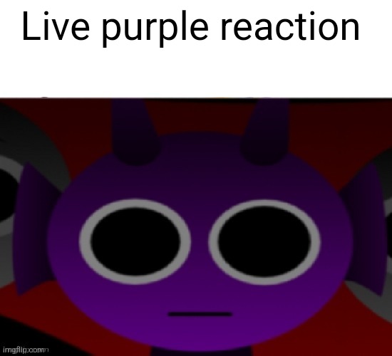 Durple Stare at you (without text) | Live purple reaction | image tagged in durple stare at you without text | made w/ Imgflip meme maker