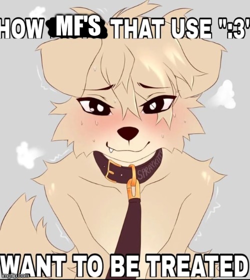 How mf's using ":3" want to be treated | MF'S | image tagged in how mf's using 3 want to be treated | made w/ Imgflip meme maker