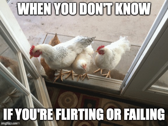 Failed Flirt | WHEN YOU DON'T KNOW; IF YOU'RE FLIRTING OR FAILING | image tagged in flirt,fail,chicken,anti joke chicken,flirting,i don't know | made w/ Imgflip meme maker