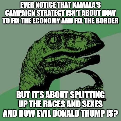 The Democrat party has become the party of racism and sexism . . . oh wait. | EVER NOTICE THAT KAMALA'S CAMPAIGN STRATEGY ISN'T ABOUT HOW TO FIX THE ECONOMY AND FIX THE BORDER; BUT IT'S ABOUT SPLITTING UP THE RACES AND SEXES AND HOW EVIL DONALD TRUMP IS? | image tagged in memes,philosoraptor,kamala harris,tim walz,democrats,evil | made w/ Imgflip meme maker