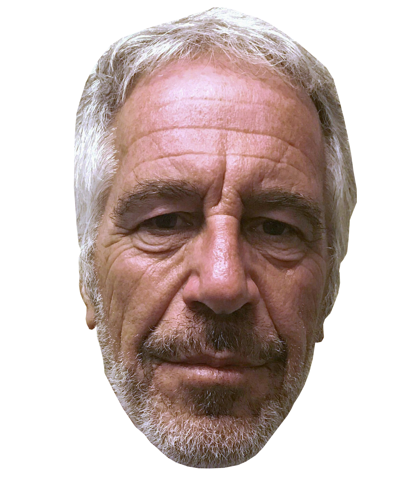 EPSTEIN - head Blank Meme Template