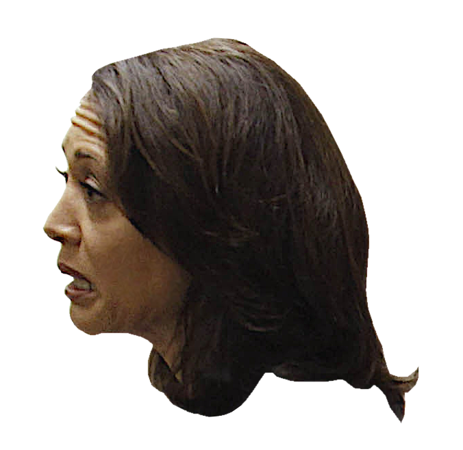 KAMALA - head profile Left Blank Meme Template