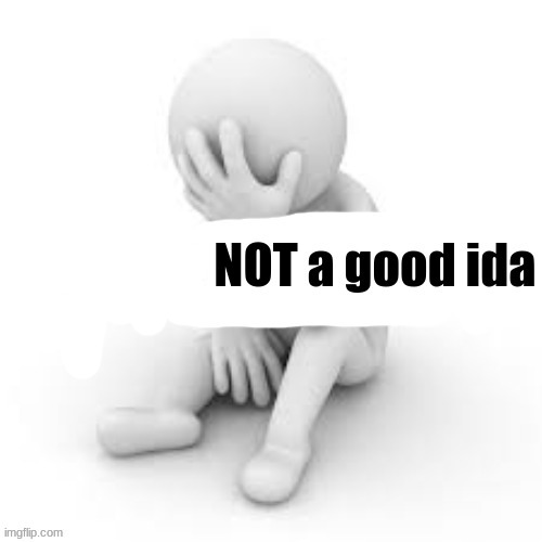 that was NOT a good ida | image tagged in that was not a good ida | made w/ Imgflip meme maker