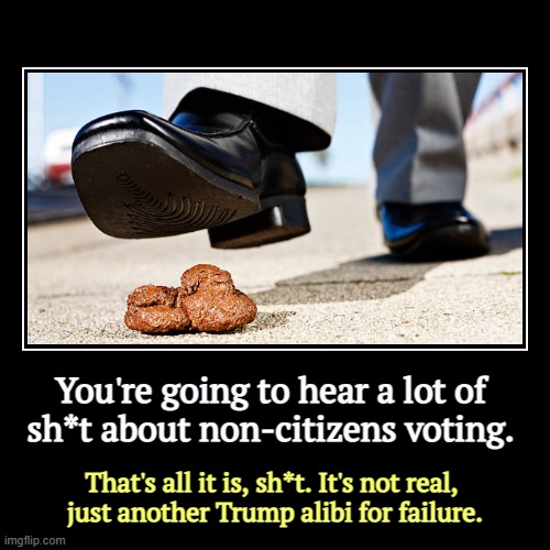 Repeat after me: "Non-citizens can't vote. Illegal immigrants can't vote. Donald Trump is a pinhead." Thank you. | You're going to hear a lot of 
sh*t about non-citizens voting. | That's all it is, sh*t. It's not real, 
just another Trump alibi for failur | image tagged in funny,demotivationals,trump,failure,illegal immigrants,voter fraud | made w/ Imgflip demotivational maker
