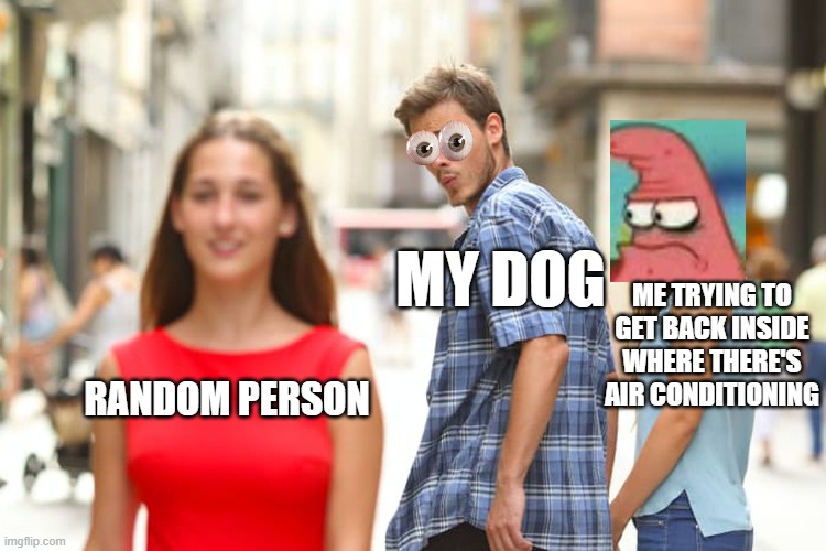 Distracted Boyfriend Meme | MY DOG; ME TRYING TO GET BACK INSIDE WHERE THERE'S AIR CONDITIONING; RANDOM PERSON | image tagged in memes,distracted boyfriend | made w/ Imgflip meme maker