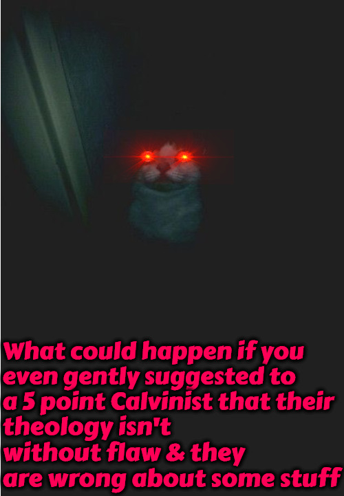 What Could Happen If... | What could happen if you even gently suggested to a 5 point Calvinist that their; theology isn't without flaw & they are wrong about some stuff | image tagged in calvinism,arminian,reformed theology 5 point,molinism,possessed | made w/ Imgflip meme maker